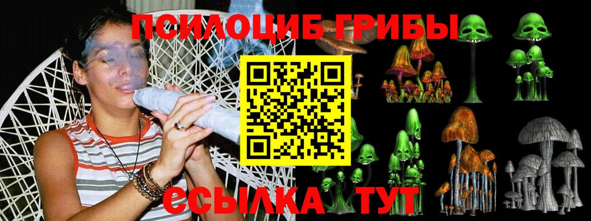 Галлюциногенные грибы MAGIC MUSHROOMS  Вход с VPN  Иваново  Галлюциногенные грибы GOLDEN TEACHER 